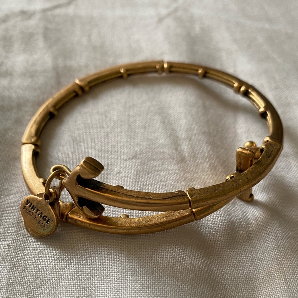 Alex and Ani Wrap Bracelet